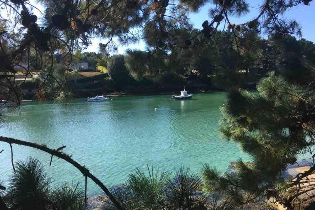 L'Olivier Du Cabellou, A 900 M Des Plages Concarneau Exterior photo